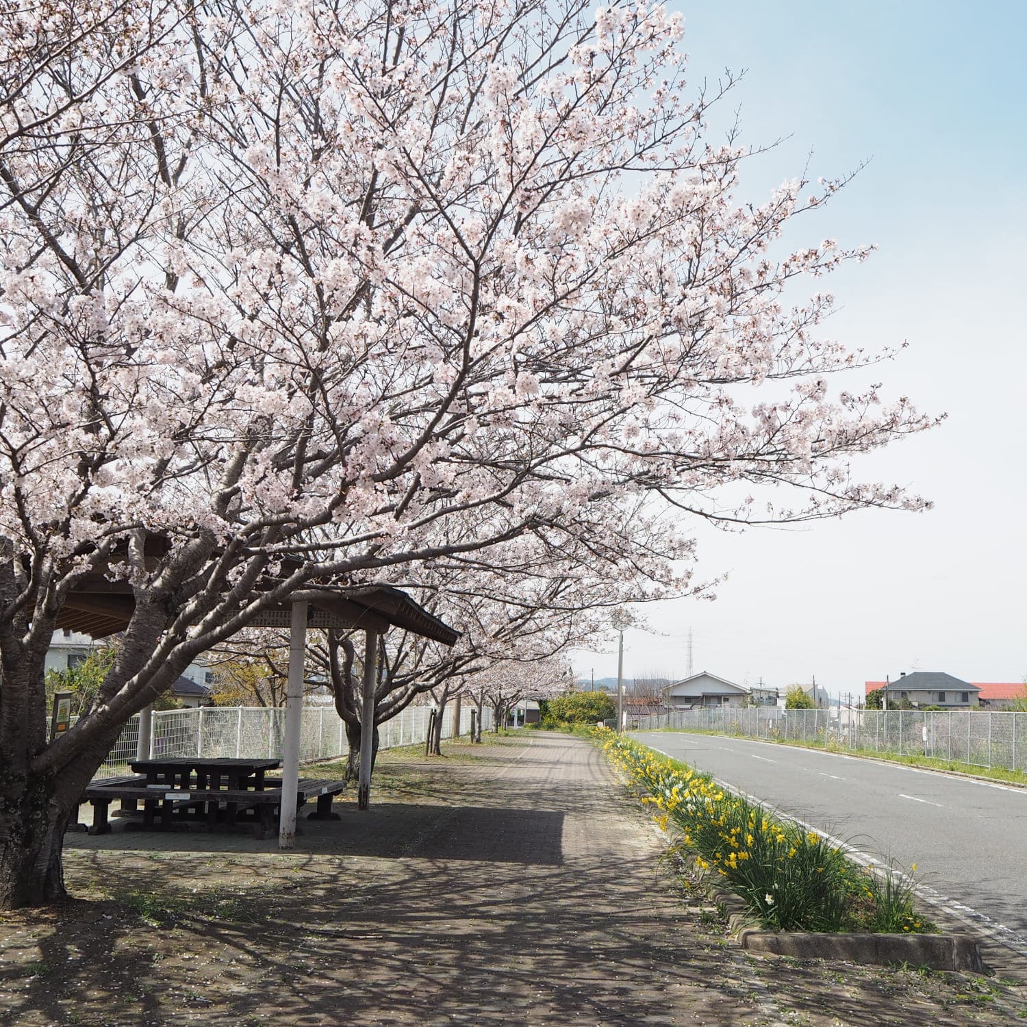 川崎町の風景画像