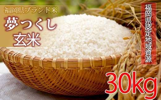 新米 福岡県産夢つくし 30kg - 米