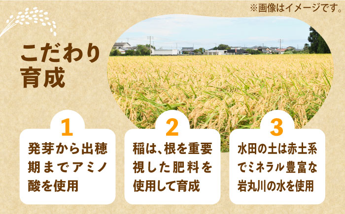 【令和6年産新米】【先行予約】ひかりファーム の ミルキークイーン 5kg【2024年10月以降順次発送】《築上町》【ひかりファーム】 [ABAV007] 15000円  15000円