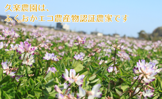 【先行予約】レンゲ栽培米 夢つくし 4.5kg 【2024年10月以降順次発送】《築上町》【久楽農園】 [ABAT001] 9000円 9千円