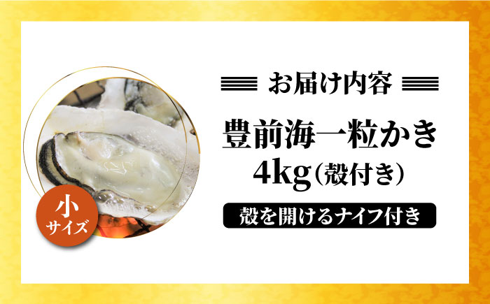 【先行予約:令和5年12月以降発送】ブランド牡蠣 「 豊前海一粒かき (しいだ小粒がき)」 小サイズ 4kg《築上町》【築上町蓄養殖部会】 [ABAY003] 12000円  12000円 