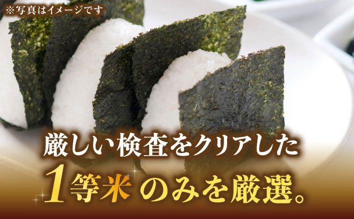 【令和5年産】福岡県産ブランド米「元気つくし」白米 5kg《築上町》【株式会社ゼロプラス】 [ABDD001] 12000円 1万2千円