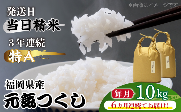 【先行予約】【全6回定期便】福岡県産【特A】評価のお米「元気つくし」5kg×2袋 [10kg] [白米]【2024年11月下旬以降順次発送】《築上町》【株式会社ベネフィス】 [ABDF116] 精米 米 ご飯 ごはん こめ コメ 158000円 15万8千円