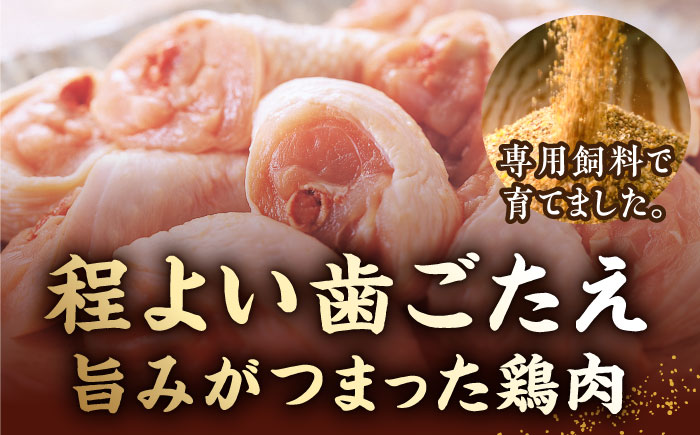 【全12回定期便】博多華味鳥 水炊き セット 6〜8人前 《築上町》【トリゼンフーズ】博多 福岡 鍋 鶏 水たき みずたき [ABCN008] 237000円 23万7千円