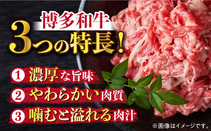 【訳あり】博多和牛 切り落とし 5kg(500g×10p）《築上町》【株式会社MEAT PLUS】 [ABBP066] 45000円  45000円 