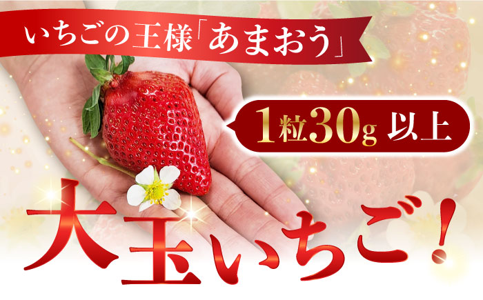 【2月中旬以降発送】築上町産 あまおう <月> 1箱 15粒入り《築上町》【エースいちご株式会社】 大粒 あまおう 苺 いちご ギフト 贈答 [ABAG003] 14000円  14000円 