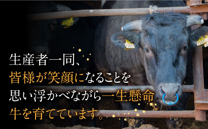 【博多和牛】特選スライス ロースすき焼き用 450g(2〜3人前) 《築上町》【株式会社ゼロプラス】 [ABDD046] 31000円 3万1千円