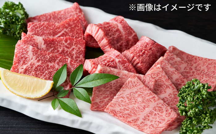 【和牛の旨味を堪能！】博多和牛 焼肉用 500g《築上町》【株式会社MEAT PLUS】 [ABBP012] 15000円  15000円 