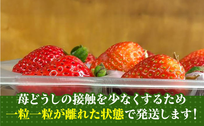 【12月1日より順次発送】農家直送 朝採り新鮮いちご【博多あまおう】約270g×4パック《築上町》【株式会社H&Futures】 [ABDG002] 15000円  15000円 