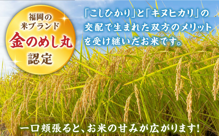 【全6回定期便】福岡県産米 夢つくし300g×4袋 + 鶏ごぼうご飯の素×2袋 + たけのこご飯の素×2袋 セット《築上町》【有限会社ファインリョーコク】 [ABCO019] 70000円 7万円