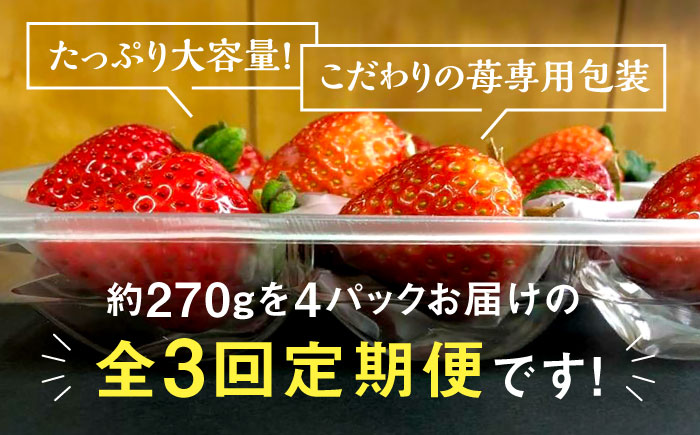 【全3回定期便】【2025年2月〜お届け】農家直送 朝採り新鮮いちご【博多あまおう】約270g×4パック《築上町》【株式会社H&Futures】 [ABDG006] 36000円  36000円 