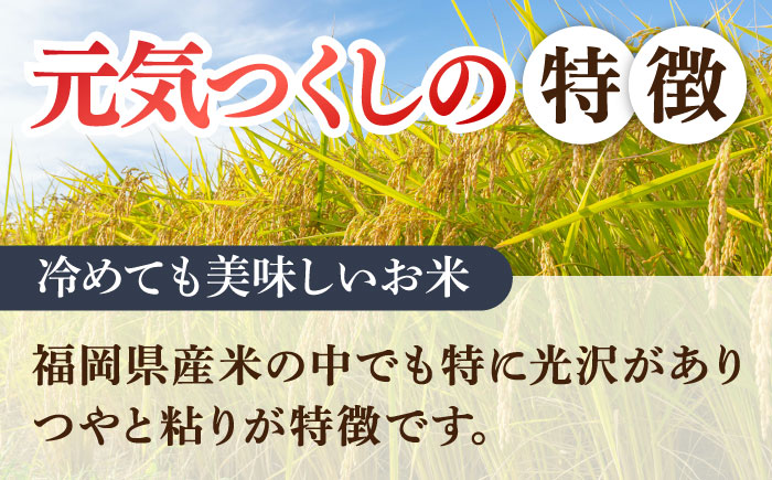 福岡元気つくし5kg×2袋《築上町》【株式会社オカベイ】 米 こめ ご飯