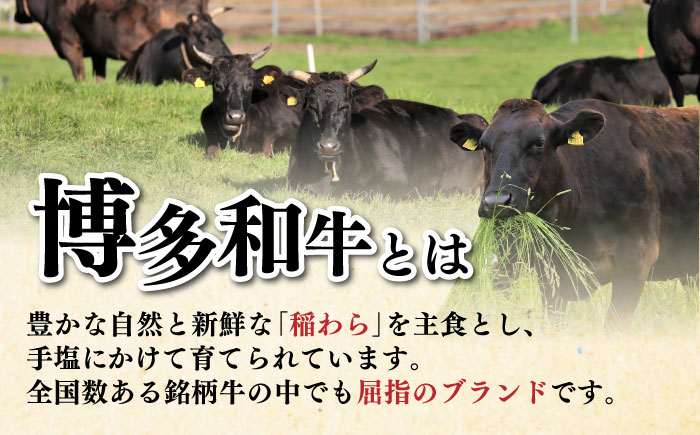 【全10回定期便】博多和牛 サーロイン ステーキ 200g × 3枚《築上町》【久田精肉店】 [ABCL011] 300000円 30万円 300000円 30万円