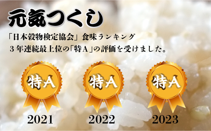 【先行予約】【全3回定期便】福岡県産【特A】評価のお米「元気つくし」5kg×2袋 [10kg] [玄米]【2024年11月下旬以降順次発送】《築上町》【株式会社ベネフィス】 [ABDF118] ご飯 ごはん 米 こめ コメ おにぎり 79000円 7万9千円