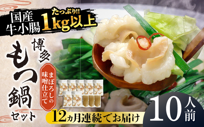 【全12回定期便】国産牛もつ1kgオーバー！味噌もつ鍋 10人前[牛もつ1.05kg／味噌スープ付]《築上町》【株式会社ベネフィス】 [ABDF069] 240000円