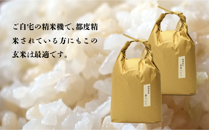 福岡県産【特A米】元気つくし【A米】夢つくしの食べ比べ 各5kg×2袋