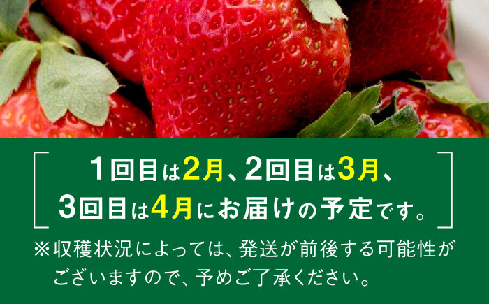 【全3回定期便】【2025年2月〜お届け】農家直送 朝採り新鮮いちご【博多あまおう】約270g×4パック《築上町》【株式会社H&Futures】 [ABDG006] 36000円  36000円 