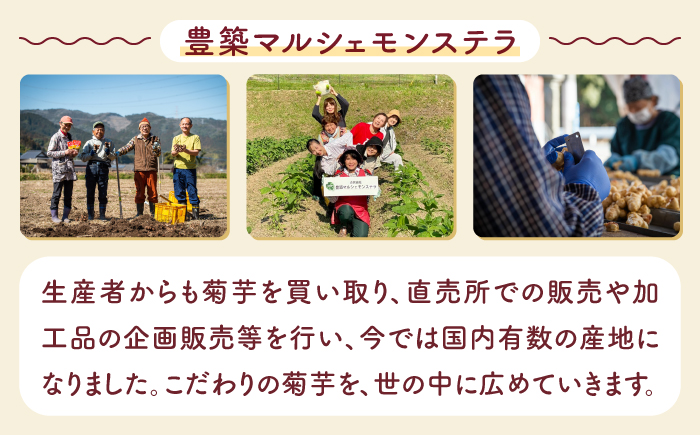 【全12回定期便】きくいも 丸ごと小粒っ粉 1袋 210粒 《築上町》【合同会社豊築マルシェモンステラ】 菊芋 サプリメント サプリ [ABBZ012] 101000円 10万1千円