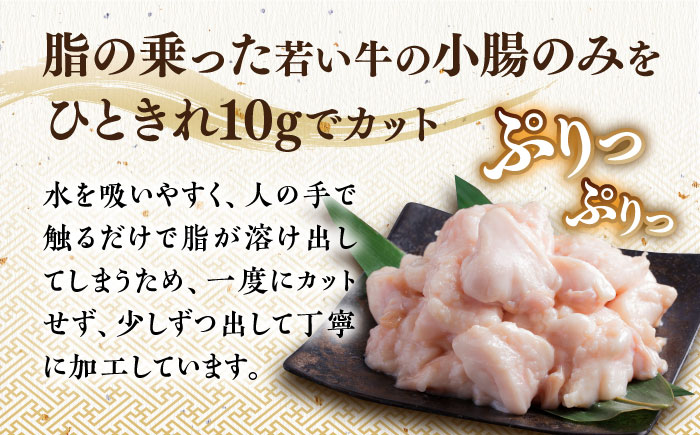 【年間100万食販売！】博多もつ鍋おおやま もつ鍋 しょうゆ味 4人前《築上町》【株式会社ラブ】 [ABDJ003] 18000円  18000円 