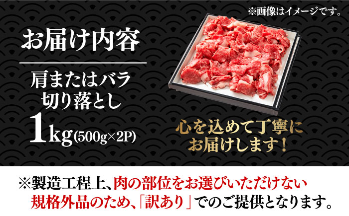 【たっぷり大容量！】博多和牛 切り落とし 1000g (500ｇ×2P)《築上町》【株式会社MEAT PLUS】 [ABBP010] 10000円  10000円 