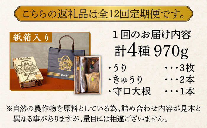 【全12回定期便】奈良漬 「琥珀漬」紙箱入り 970g【明治神宮ご奉献品】《築上町》【有限会社奈良漬さろん安部】奈良漬 奈良漬け ギフト 贈り物 贈答 [ABAE051] 180000円 