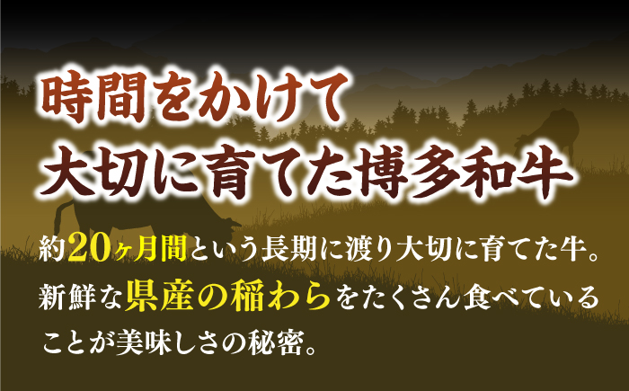 【たっぷり大容量！】博多和牛 切り落とし 1000g (500ｇ×2P)《築上町》【株式会社MEAT PLUS】 [ABBP010] 10000円  10000円 