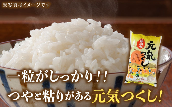 【令和5年産】福岡県産ブランド米「元気つくし」白米 5kg《築上町》【株式会社ゼロプラス】 [ABDD001] 12000円 1万2千円