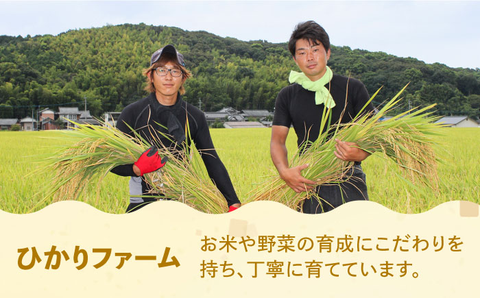 【令和6年産新米】【先行予約】ひかりファーム の 夢つくし 5kg【2024年10月以降順次発送】《築上町》【ひかりファーム】 [ABAV006] 15000円  15000円