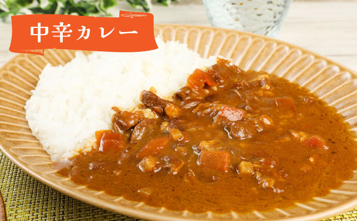 隊員食堂カレー（中辛２個・牛すじ２個）・お米600ｇセット《築上町》【NPO法人築上町観光協会】贈答 限定 レトルト 個包装 夢つくし [ABAX006]