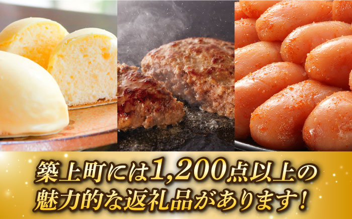 【あとから選べる】築上町ふるさとギフト 20万円分 ハンバーグ 餅 米 明太子 博多和牛 [ABZY014]