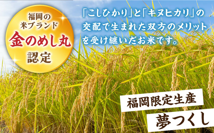 全12回定期便】【令和4年産】福岡県産米 夢つくし 5kg×2袋《築上町