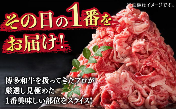 【訳あり】博多和牛 切り落とし 5kg(500g×10p）《築上町》【株式会社MEAT PLUS】 [ABBP066] 45000円  45000円 