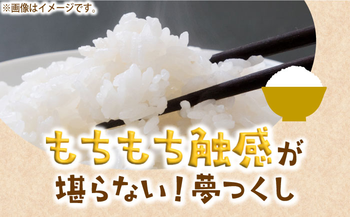 【令和6年産新米】【先行予約】ひかりファーム の 夢つくし 3kg【2024年10月以降順次発送】《築上町》【ひかりファーム】 [ABAV003] 12000円 1万2千円 12000円 1万2千円