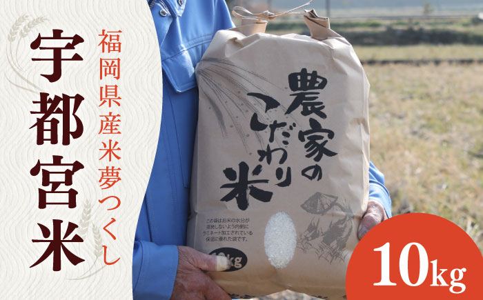 【農家直送】 築上町産 夢つくし 「宇都宮米」 10kg《築上町》【松丸の向井さん】 [ABBN001] 10000円 1万円 10000円 1万円