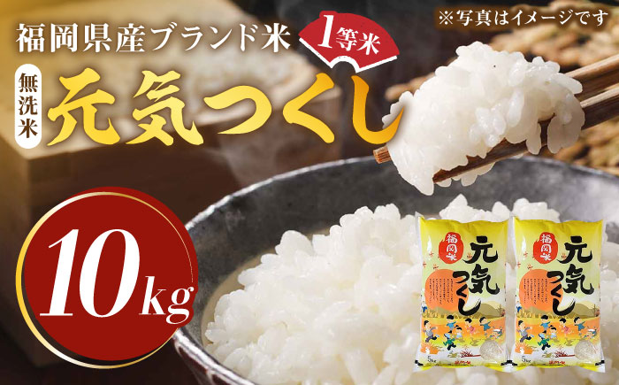 【令和5年産】福岡県産ブランド米「元気つくし」無洗米 10kg (5kg×2袋)《築上町》【株式会社ゼロプラス】 [ABDD004] 21000円 2万1千円