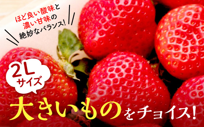 【全3回定期便】【2025年2月〜お届け】農家直送 朝採り新鮮いちご【博多あまおう】約270g×4パック《築上町》【株式会社H&Futures】 [ABDG006] 36000円  36000円 