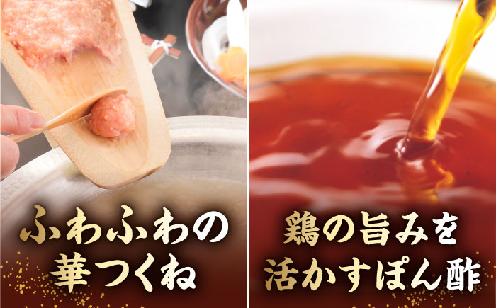 【全12回定期便】博多華味鳥 水炊き セット ちゃんぽん付き  3〜4人前 《築上町》【トリゼンフーズ】博多 福岡 鍋 鶏 水たき みずたき [ABCN014] 132000円  132000円 