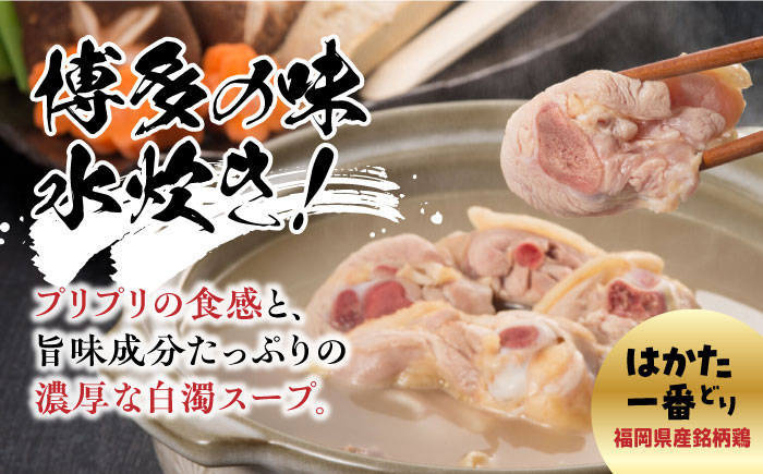 博多水炊き(2〜3人前) と 無着色辛子明太子(600g)のつめあわせ【はかた一番どり】【博多明太子】《築上町》【株式会社ゼロプラス】 [ABDD044] 20000円 2万円 20000円 2万円