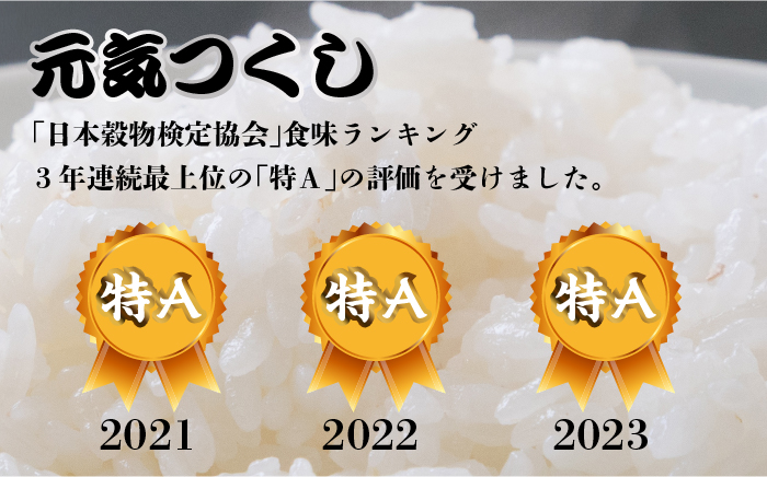 【先行予約】【全6回定期便】福岡県産【特A】評価のお米「元気つくし」5kg×2袋 [10kg] [白米]【2024年11月下旬以降順次発送】《築上町》【株式会社ベネフィス】 [ABDF116] 精米 米 ご飯 ごはん こめ コメ 158000円 15万8千円