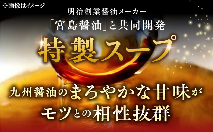 博多 醤油 もつ鍋 10人前《築上町》【株式会社MEAT PLUS】 [ABBP007] 16000円 1万6千円