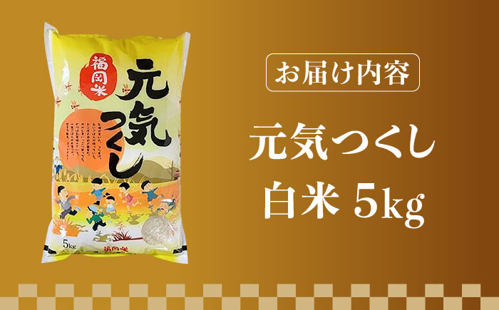 【令和5年産】福岡県産ブランド米「元気つくし」白米 5kg《築上町》【株式会社ゼロプラス】 [ABDD001] 12000円 1万2千円