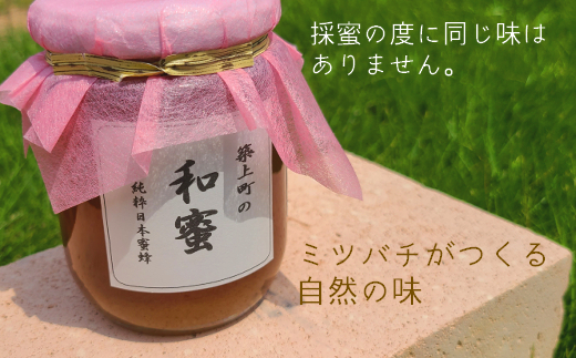 【福岡県築上町産】上村さん家の はちみつ 「築上町の 和蜜 」1kg《築上町》【上村　忍】 日本 蜜蜂 にほん みつばち [ABBX003] 30000円 3万円 30000円 3万円