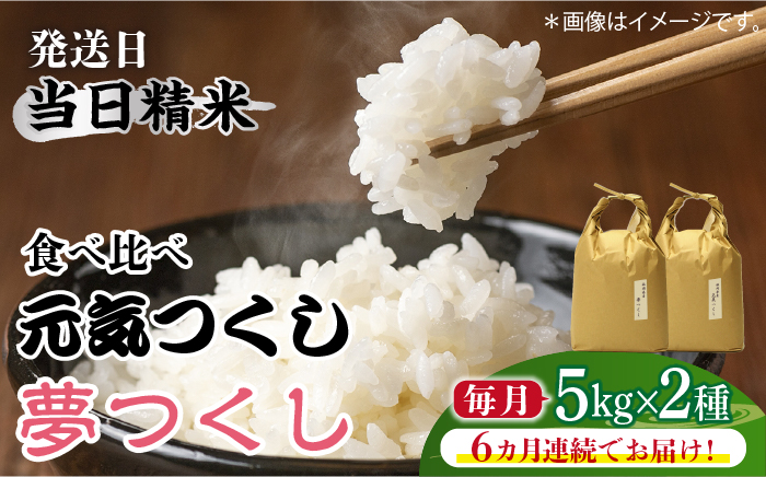 【先行予約】【全6回定期便】福岡県産【特A米】元気つくし【A米】夢つくしの食べ比べ 各5kg×2袋 [10kg] [白米]【2024年11月下旬以降順次発送】《築上町》【株式会社ベネフィス】 [ABDF125] 精米 米 ご飯 ごはん こめ コメ 158000円 15万8千円