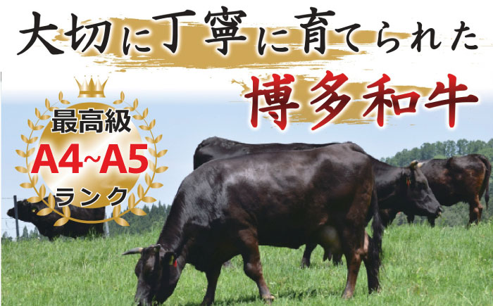 【全12回定期便】【和牛の旨味を堪能！】博多和牛焼肉用 500g《築上町》【株式会社MEAT PLUS】 [ABBP035] 201000円  201000円 