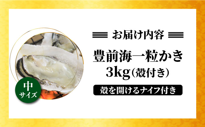 【先行予約:令和5年12月以降発送】ブランド牡蠣 「 豊前海一粒かき (しいだ小粒がき)」 中サイズ 3kg《築上町》【築上町蓄養殖部会】 [ABAY004] 9000円 9千円 9000円 9千円