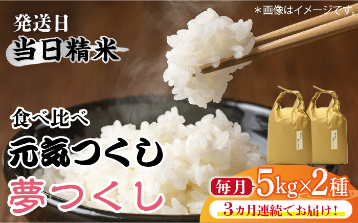 【先行予約】【全3回定期便】福岡県産【特A米】元気つくし【A米】夢つくしの食べ比べ 各5kg×2袋 [10kg] [白米]【2024年11月下旬以降順次発送】《築上町》【株式会社ベネフィス】 [ABDF124] 精米 米 ご飯 ごはん こめ コメ 79000円 7万9千円