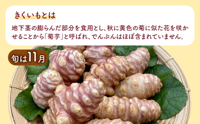 【全3回定期便】焙煎 築上きくいも茶 3g×15包 《築上町》【合同会社豊築マルシェモンステラ】 菊芋 お茶 [ABBZ017] 16000円 1万6千円