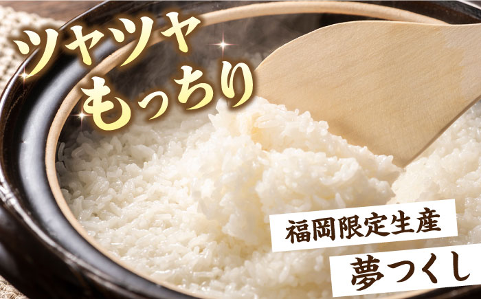 【全12回定期便】福岡県産米 夢つくし 300g×4袋 + 鶏ごぼうご飯の素 ×4袋 セット《築上町》【有限会社ファインリョーコク】 [ABCO008] 139000円 13万9千円