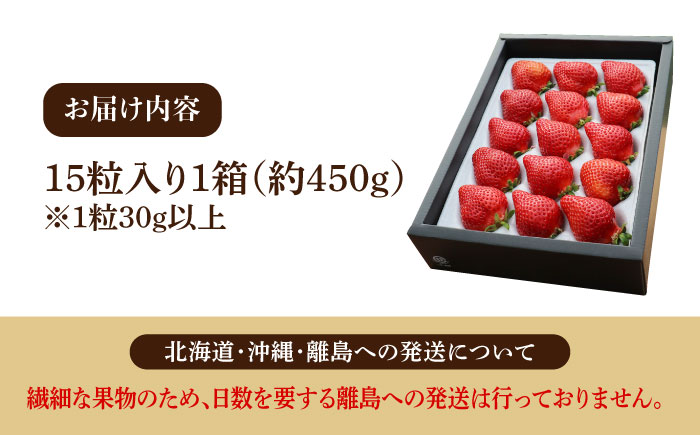 【2月中旬以降発送】築上町産 あまおう <月> 1箱 15粒入り《築上町》【エースいちご株式会社】 大粒 あまおう 苺 いちご ギフト 贈答 [ABAG003] 14000円  14000円 