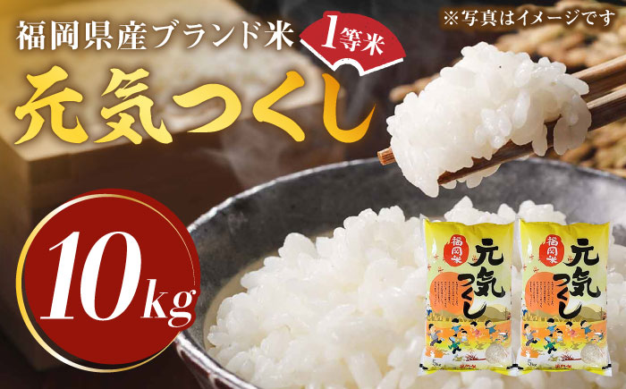 【令和5年産】福岡県産ブランド米「元気つくし」白米 10kg (5kg×2袋)《築上町》【株式会社ゼロプラス】 [ABDD003] 21000円 2万1千円